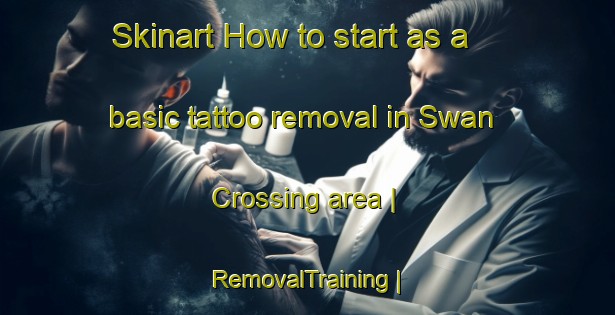Skinart How to start as a basic tattoo removal in Swan Crossing area | RemovalTraining | RemovalClasses | SkinartTraining-Canada